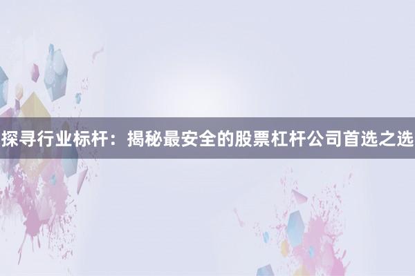 探寻行业标杆：揭秘最安全的股票杠杆公司首选之选