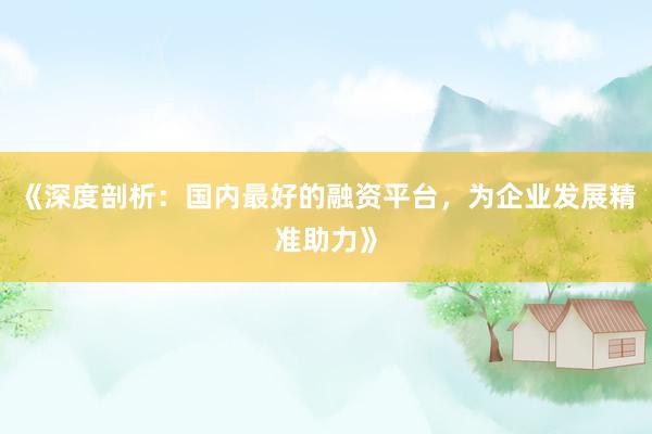 《深度剖析：国内最好的融资平台，为企业发展精准助力》