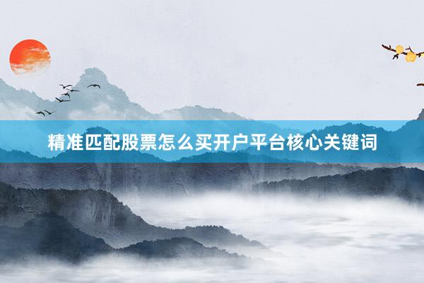 精准匹配股票怎么买开户平台核心关键词