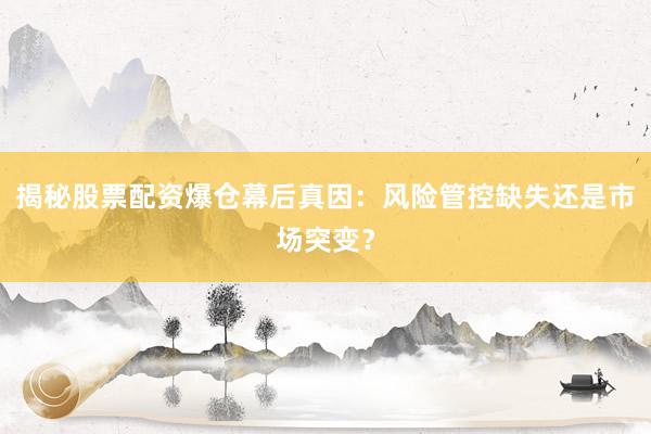 揭秘股票配资爆仓幕后真因：风险管控缺失还是市场突变？