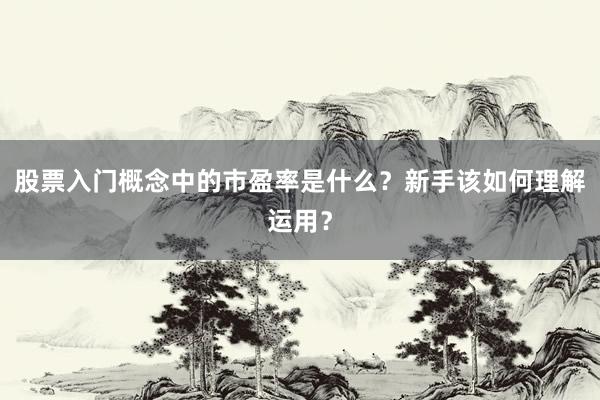 股票入门概念中的市盈率是什么?新手该如何理解运用?