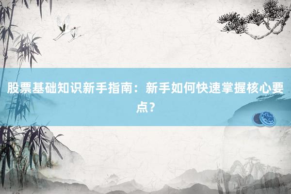 股票基础知识新手指南:新手如何快速掌握核心要点?