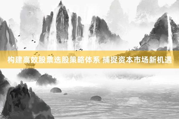 构建高效股票选股策略体系 捕捉资本市场新机遇
