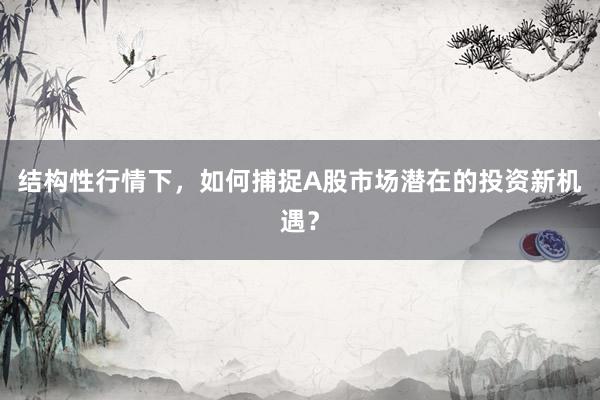 结构性行情下，如何捕捉A股市场潜在的投资新机遇？