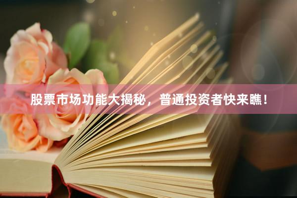 股票市场功能大揭秘，普通投资者快来瞧！