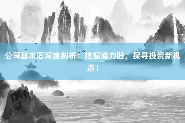 公司基本面深度剖析：挖掘潜力股，探寻投资新机遇！