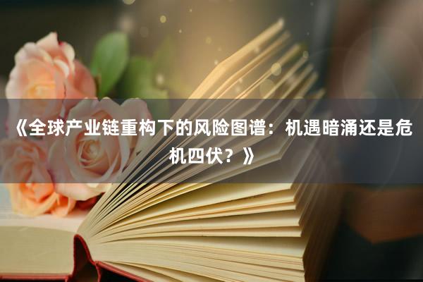 《全球产业链重构下的风险图谱：机遇暗涌还是危机四伏？》