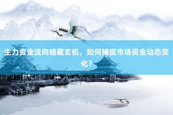 主力资金流向暗藏玄机，如何捕捉市场资金动态变化？